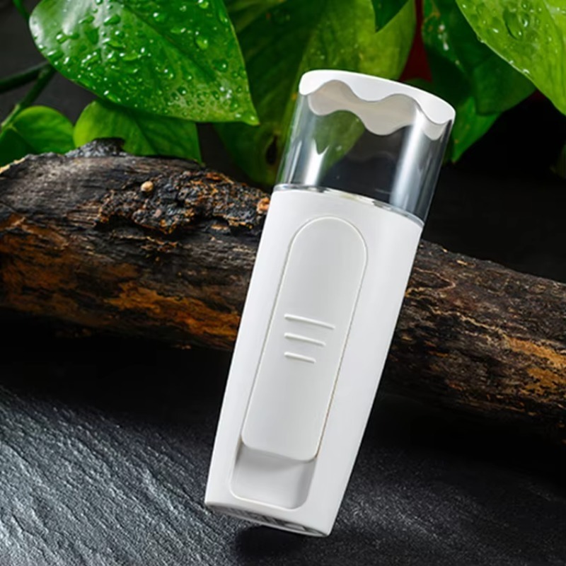 Mini Nebulizzatore Facciale Po - Facial Steamer Nano recensione e prezzo