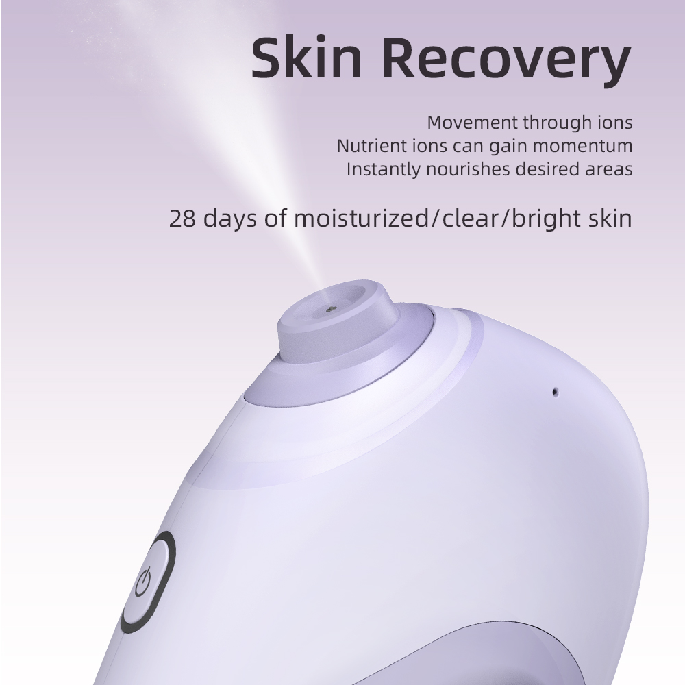 Nano Spruzzatore facciale Acqu - Facial Steamer Nano recensione e prezzo